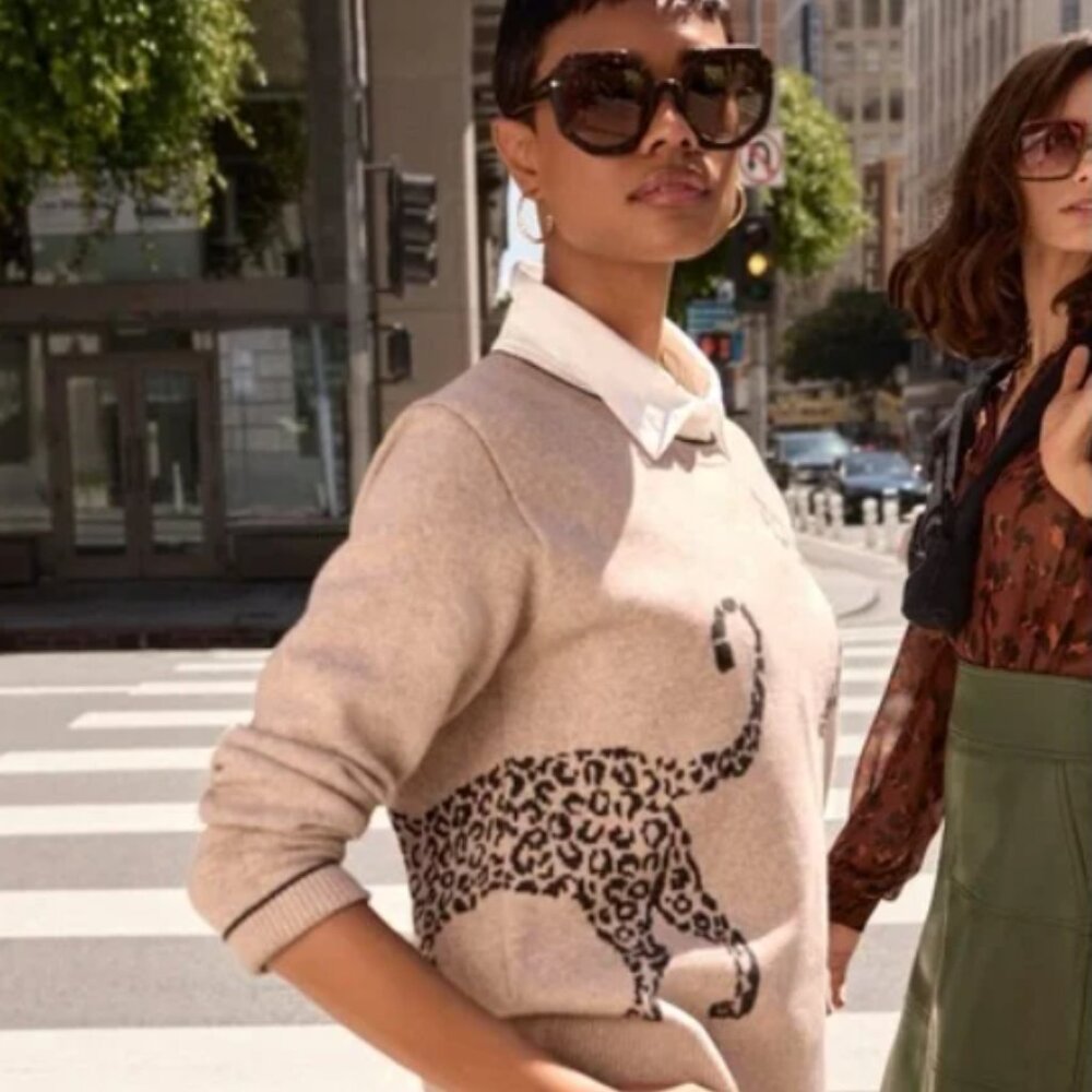 Cabi Cheetah Pullover Sweater Like New